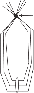 Diagram of looped strings